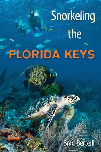 Snorkeling the Florida Keys