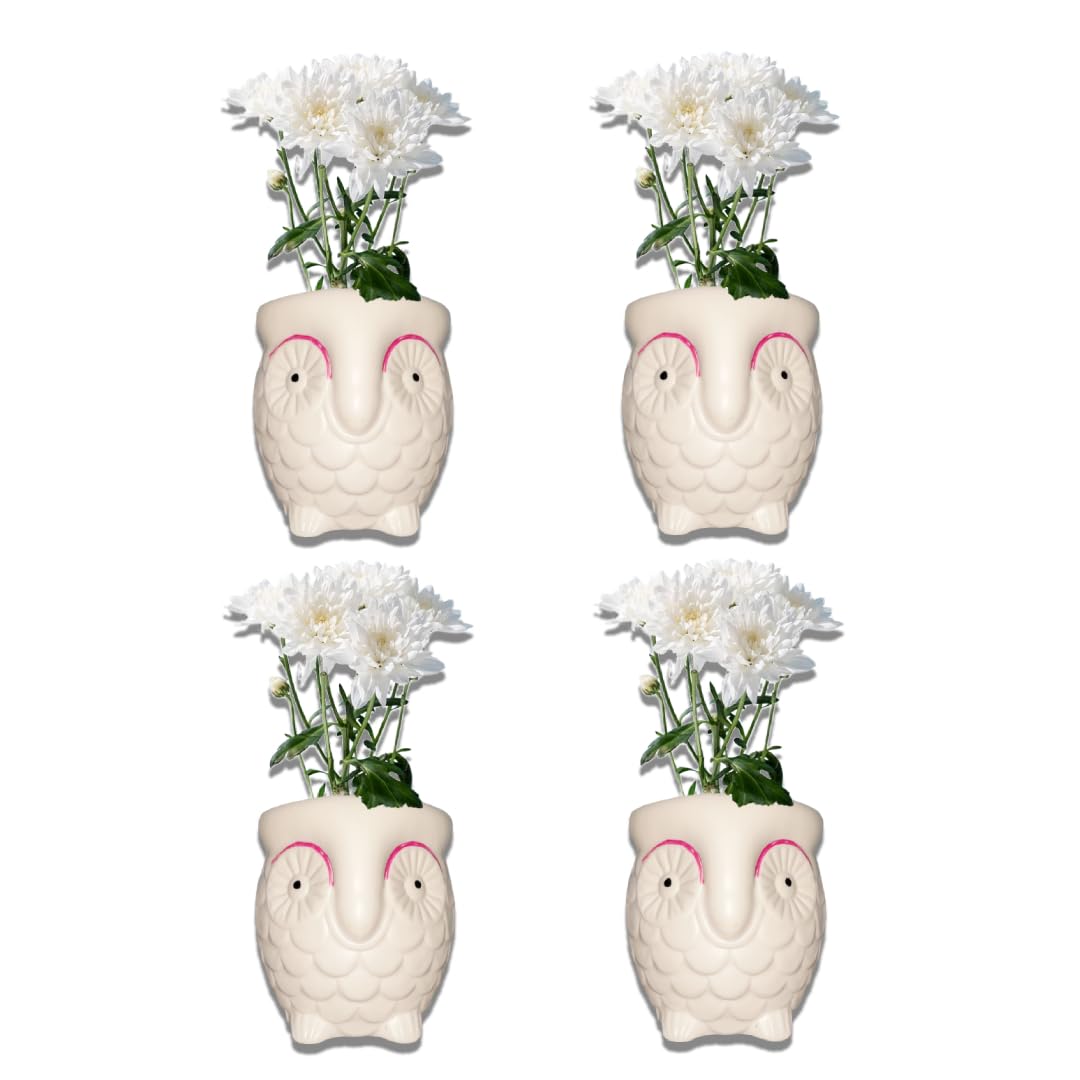 See full amazon price history chart for Owl Pot Plastic White Flower Pot | Indoor and Outdoor Use | Elegant Home Decor | Ideal Gift for Plant Enthusiasts and Yoga Practitioners | Create Your Garden Oasis Today! (Owl Pot, Set of 4) Owl Pot Plastic White Flower Pot | Indoor and Outdoor Use | Elegant Home Decor | Ideal Gift for Plant Enthusiasts and Yoga Practitioners | Create Your Garden Oasis Today! (Owl Pot, Set of 4) (B0CFQRVP82) Amazon Price History, Amazon Price Tracker