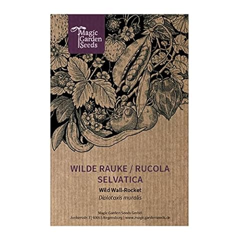 Dzika rukola / Rucola selvatica (Diplotaxis muralis) - ok. 1500 nasion