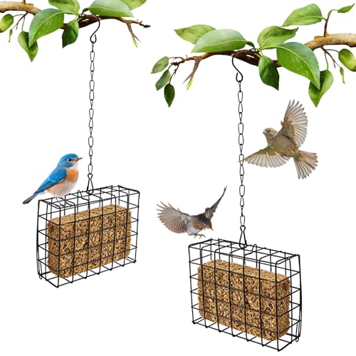 Suet Feeder 2 Pack for Outside Hanging, Metal Wire Suet