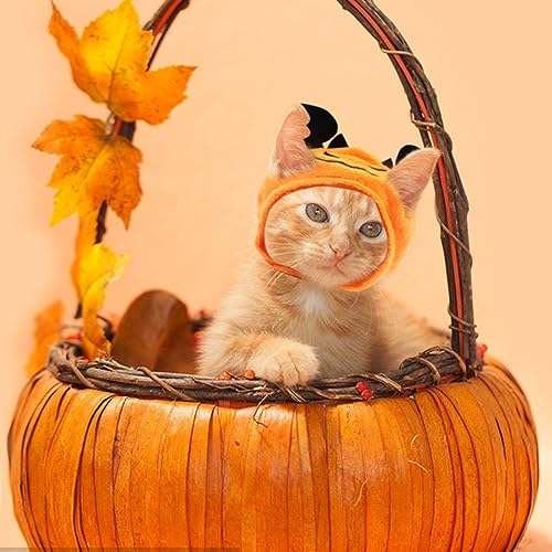 Sombrero Demonio Halloween para Perros Hying Cats miniatura 4