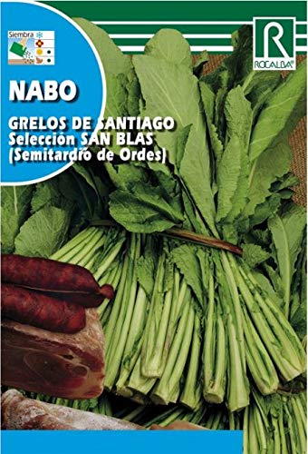 GRELO DE SANTIAGO SAN BLAS (TARDIO DE ORDES)