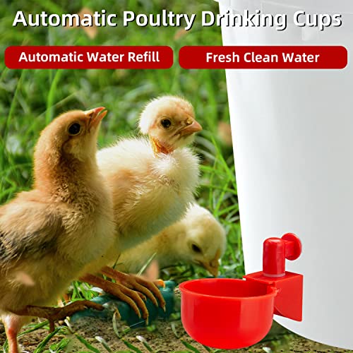 Sykria Chicken Water Cups, Automatic Chicken Waterer Kit For Poultry, 3/8 Inch Thread Filling Waterer Poultry Drinking Bowl For Chicken, Ducks, Birds, Turkeys Etc (6 Pack) #TOP2