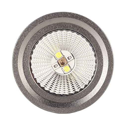 Lâmpada de Calor para Répteis, Lâmpada de Substituição para Répteis Basking Spot Confortável LED 110