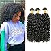 Produktbild FZY 8A Brazilian Hair 3 Bundles 100% Remy Curly Human Hair Bundles Brasilianische Haare Kinky Curly Hair Brasilianische Menschliche Haare Natural Black Color Total 300g (12 14 16Inch)