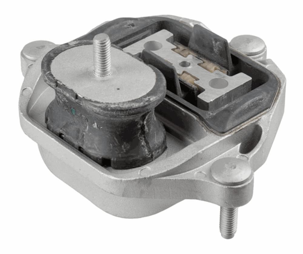 LEMFÖRDER 43231 01 Almacenamiento de transmisión automática y caja de transferencia de almacenamiento manual para Audi A4 B8 Avant (8K5) 2007-2017 Trasero y Otros vehículos