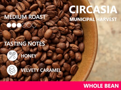 Image of Cafe Quindio Medium Roast 100% Colombian Excelso Whole Bean Arabica Coffee - Circasia Municipal Harvest - 8.8 Ounce (Pack of 1)