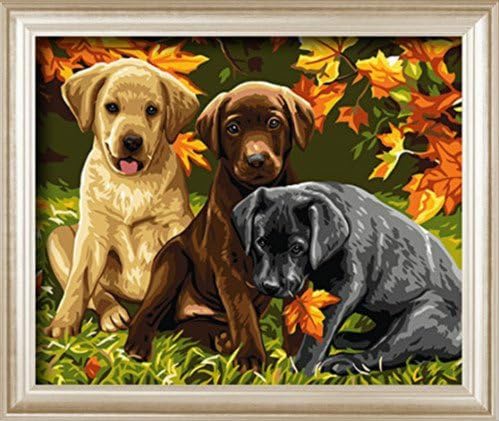 DIY Painting, Paint by Number kit for Adults Beginner-Charming Autumn 1620 inches (Three Dogs)