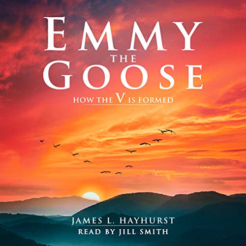 Emmy the Goose by James Hayhurst episode artwork