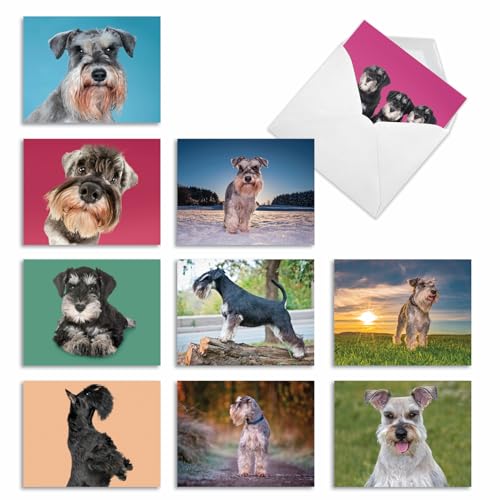 Cartes vierges d'art Schnauzer miniature coffret papeterie de prestige de 10 cartes