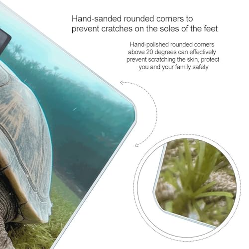 Báscula digital de baño Big Tortoise alta precisión miniatura 4