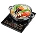 Rosewill 1800 Watt 5 Pre-Programmed Settings Induction Cooker Cooktop, Included 10" 3.5 Qt 18-8 Stainless Steel Pot, Gold, RHAI-16002