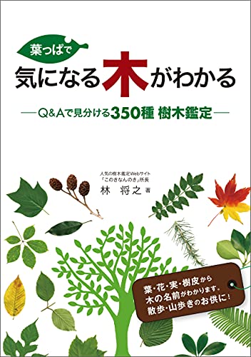 葉っぱで気になる木がわかる 林将之 趣味 実用 Kindleストア Amazon