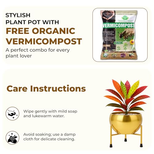 Image of NATURAL EARTH Gold Metal Flower Pot & Stand with Free 1 KG Organic Vermicompost Fertilizer | Decorative Indoor Outdoor Plant Pot | Golden Finish Planter for Home Garden Decor