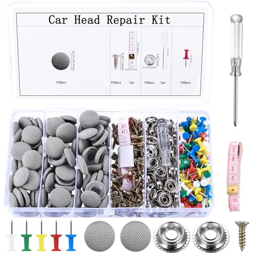100 Pz Kit Riparazione Cielo Auto, Puntine per Cielo Auto,