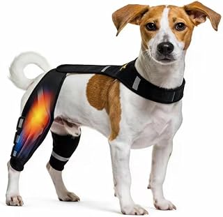 Dog knee brace designed to support both hind legs