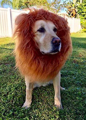 Lion Mane Costume For Dogs, Lion Dog Costume Adjustable Lion Wig With Ears, Easy To Fit Medium/Large Dogs For Halloween Party Decorations, Large Dog Halloween Costume For Pet As Lion King (Brown) #TOP5