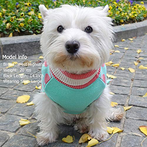 Kyeese Valentine's Day Dog Sweater Dresses Heart Pattern Dog Sweaters Turtleneck For Small Dogs With Leash Hole #TOP7