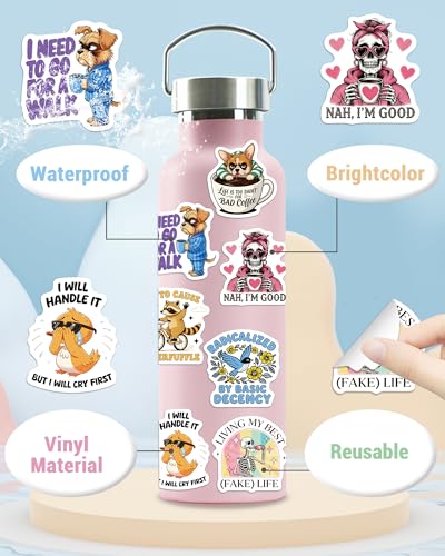 300 Pcs Funny Stickers for Adults, Water Bottle Vinyl Meme Laptop Waterproof Cute Sticker Pack, Scrapbook Planner Journal Stickers Supplies Gifts for Men Women Hard Hat Bumper - Image 3
