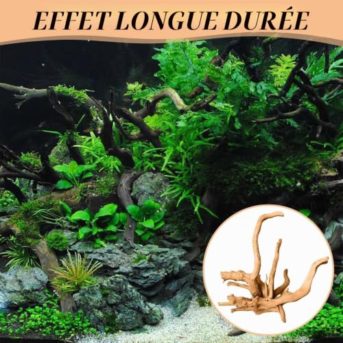 Sikweny 4 Pièces Bois Flottant et Racines, Décoration d’Aquarium avec Racines Ramifiées, Décoration Naturelle pour Aquariums, Terrariums et Bac à Crevettes – vue 5