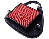 Luftfilter für Honda VT 600 C Shadow N PC21 1992 39 PS, 29 kw