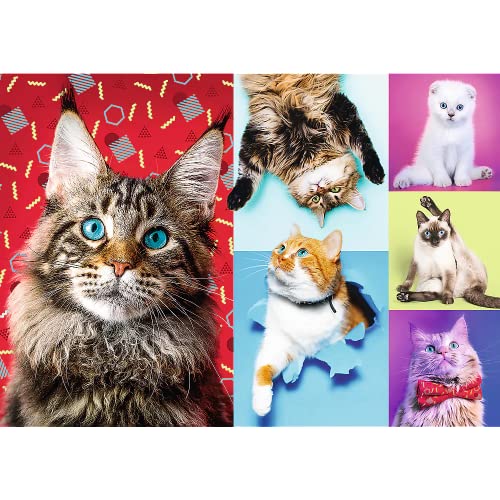 Trefl Red 1000 Piece Puzzle - Happy Cats #TOP1