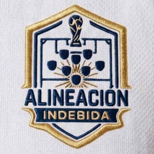 Alineaci&oacute;n Indebida cover art