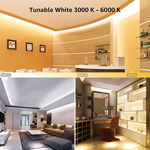 Tira LED Dimmable Lepro 16.4ft 3000K-6000K Luz Blanca miniatura 4