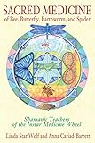 instar in-5907hd netzteil  Sacred Medicine of Bee, Butterfly, Earthworm, and Spider: Shamanic Teachers of the Instar Medicine Wheel (English Edition)