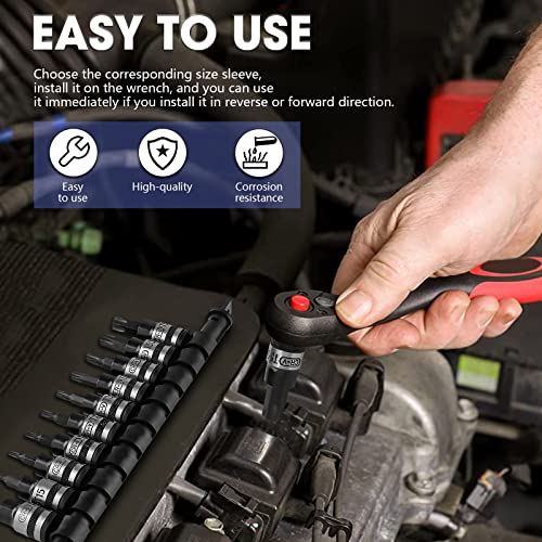 Ptstel 3/8 Inch Bit Socket Set With Socket Holder 10Pcs 3/8'' Drive Bit Socket Set Cr-V Socket And S2 Bits (10 Pcs Torx Bit Socket 3/8 '' Drive) #TOP4