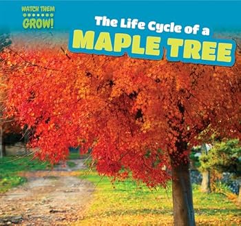 Paperback The Life Cycle of a Maple Tree Book