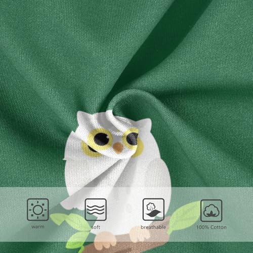 Cute Owl Bird Green Toddler Boy's Underwear 2T 23022363
