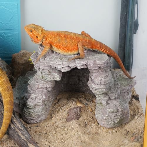 Reptile Cave Hideout Habitat, Great for Bearded Dragons, Leopard Geckos, Lizards, Turtles, Snakes, Frogs, Scorpions, Spiders and Other Reptiles, Amphibians (E - Extra Large) - Thumbnail 4