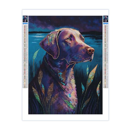 Directo Diamond Painting Kit Chesapeake Bay Retriever
