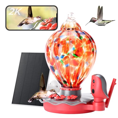 Smart Glass Hummingbird Feeder with Camera Solar Powered 2K- AI Identify & Water Detection, Instant Notification, Leakproof & Ant Moat TT Nature by TT Nature - Image 9