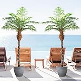 Keeplush 7ft Tall Artificial Phoenix Palm Tree for Outdoor Indoor Decor, Large Faux Coconut Silk Palm Tree Tropical Fake Tree Perfect for Outside Patio Poolside Home Office Decor (Set of 2)
