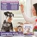 GMStahlei Hunde Allergie Kautabletten - Omega-3 Fischöl, Probiotika & pflanzliche Zutaten - Linderung bei saisonalen Allergien, juckender Haut & Ohren - Unterstützt Verdauung & Immunsystem - 300g