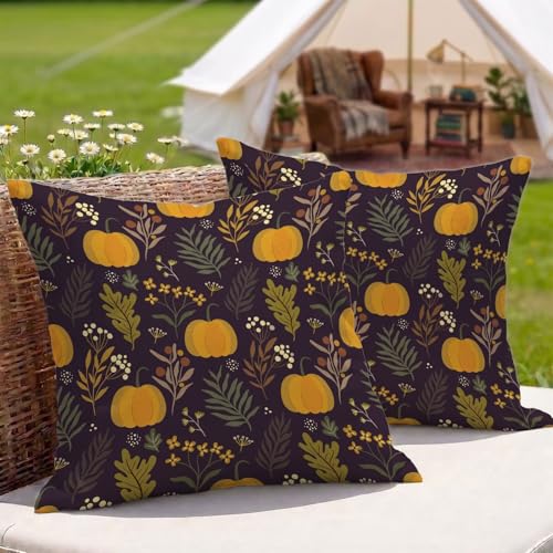 �N�b�V�����J�o�[�p���v�L���h�� ���O 2���Z�b�g 55x55 cm ���l�� ���ʈ�� ���� ���O�p �N�b�V���� �P�[�X ���� �O ���p �A�E�g�h�A �L�����v �x�����_ �� �e���X �\�t�@�[�p (�n���E�B��) 3Z-263
