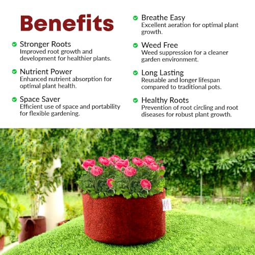 Image of Casa De Amor 350 GSM Geo Fabric Round Plant Grow Bag for Gardening (Maroon) (12x6, Pack of 5)