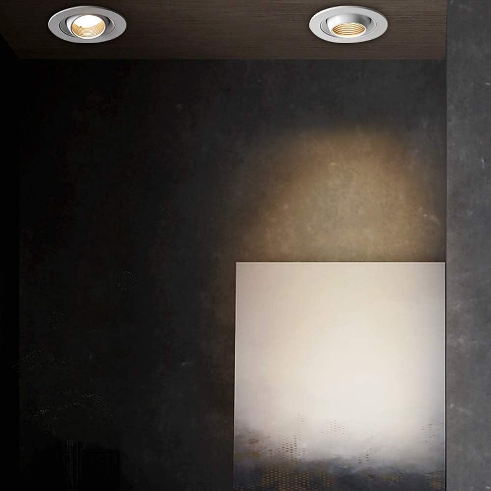 Spotlight，30W Led Recessed Ceiling Light White Round Anti-Glare Recessed Downlight Frosted Aluminum Lamp Body 24°Beam Angle Led Recessed Spotlight Outdoor Lights/4000K