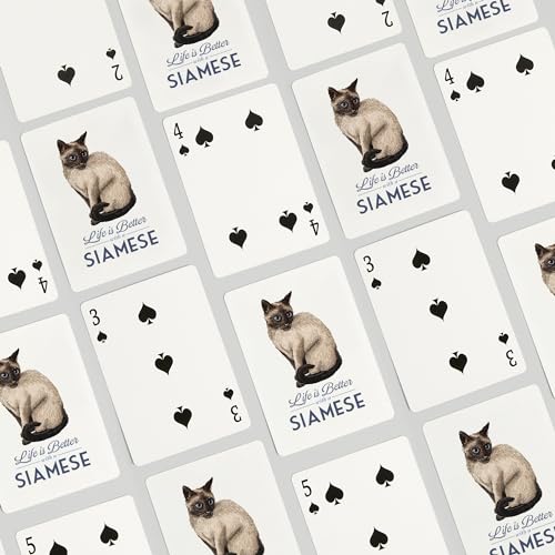 Lantern Press Siamese Cat, 52 cartas de poker miniatura 4