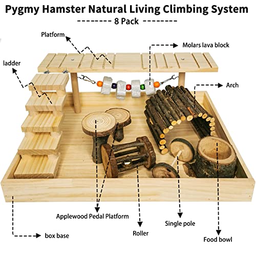 Hamiledyi Dwarf Hamster Activity Playground Natural Wood Gerbil Climbing Platform Mice Living Gym System Set Syrian Exercise Cage Accessories with Lava Stone String Chewing Toy Ladder Bridge Ramp - Thumbnail 3