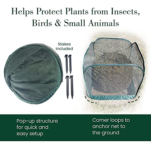 Mejores precios y opiniones de Protector de plantas contra plagas listamos los 10 mejores. 19 Imagen adicional