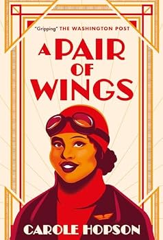Paperback A Pair of Wings Book