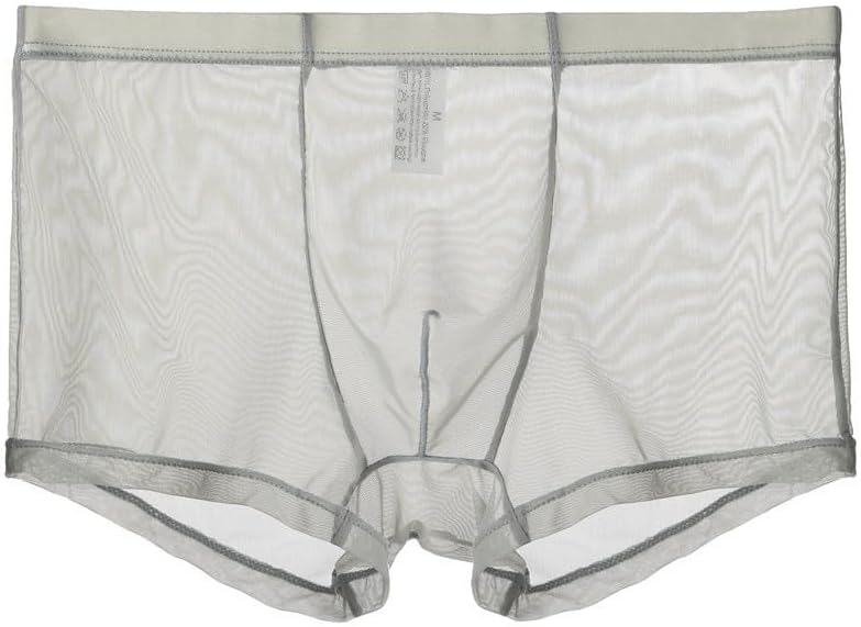 Mens Sheer Mesh Boxer Briefs Pouch Trunks Lightweight Underwear