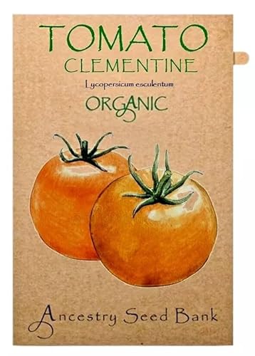 Organic Tomato ❁ Clementine ❁ x10 Seeds Heirloom - Non GMO
