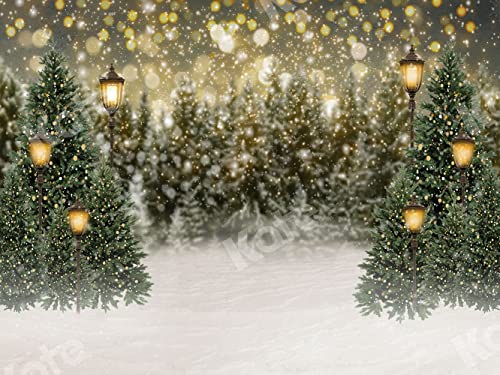 Fondo fotográfico Kate 7×5ft para Navidad y estudio miniatura 2
