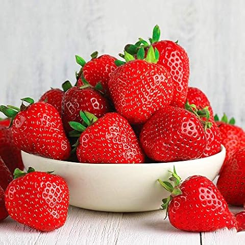 Strawberry 'Cambridge Favourite' Bare Root Plants Cover