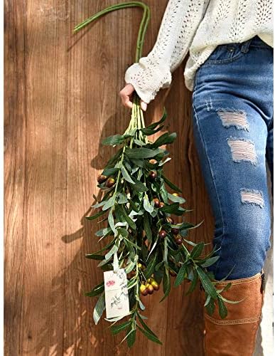 FiveSeasonStuff 2 Stems Artificial Long Stem Olive Leaves and Branches Greenery Floral Arrangement Decoration Home Décor (Olive Branches)