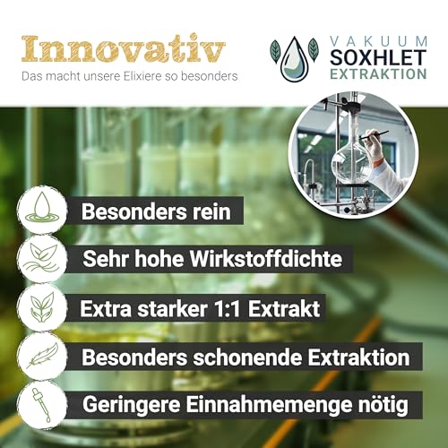 ParasitEx Kräutertinktur 100 ml – bei bestehender Parasitenkur – 1:1 Extrakt mit Wermut, Berberitze, Schwarznuss, Thymian, Nelken – Darmreinigung & Detox – vegan, hochdosiert, pflanzlich
